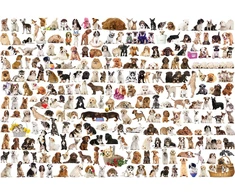 Eurographics „Šunų pasaulis“ 2000 detalių dėlionė 67×99 cm iššūkiui