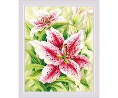 Lilies Siuvinėjimo rinkinys iš RIOLIS Nr.: 2000