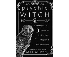 Llewellyn Psychic Witch knyga