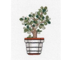 Oven Kryželiu siuvinėjimo rinkinys „Crassula“ – 18 ct kanva, 11 spalvų, pilnas