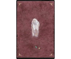 Weiser Books The Oracle of Rewilding orakulo kortos – gyvūnų išminties galia