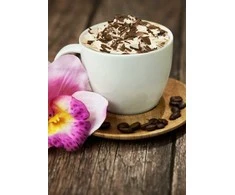 Wizardi Deimantinis paveikslas Cappuccino WD037 27*38 cm