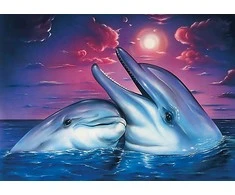 Wizardi Deimantinis paveikslas Dolphins WD223 38*27 cm