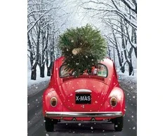 Wizardi Deimantinis paveikslas Holiday On Its Way WD2442