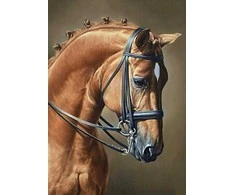 Wizardi Beldizart Šuoliai su žirgais 27 х 38 cm WD256