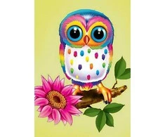 Wizardi Deimantinis paveikslas Owl Maia WD248 20*30 cm