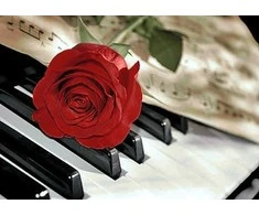 Wizardi Deimantinis paveikslas Rose Music WD053 38*27 cm