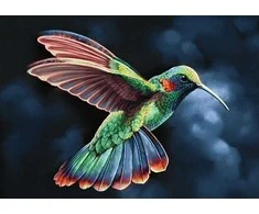 Wizardi Deimantinis paveikslas Tropic Bird WD058 38*27 cm