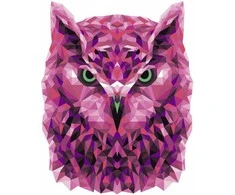 Wizardi Tapybos pagal skaičius rinkinys: P002 Owl (polygon style) 40*50