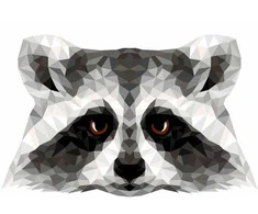 Wizardi Tapybos pagal skaičius rinkinys: P006 Raccoon (polygon style) 40*50