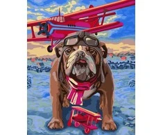 Wizardi Tapybos Pagal Skaičius Rinkinys - Pilot 40x50 cm H064