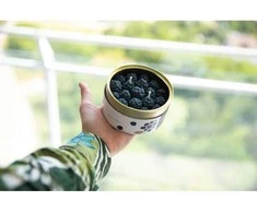 CANDLECAN Gervuogė ir cinamonas kvapioji žvakė 280 g