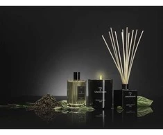 Cereria Molla 1899 Cereria Molla Tea &amp; Lemongrass smilkalai 20 vnt
