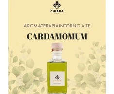 Chiara Firenze Cardamomum namų kvapas 200 ml