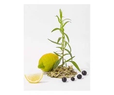 Compagnie De Provence CDP Baltas Tea skysto muilo papildymas 1 l