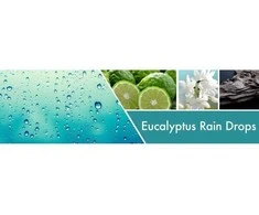 Goose Creek Eucalyptus Rain Drops dušo gelis 300 ml