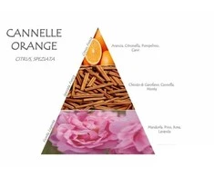 Naturalmila Italia Naturalmilla Arancio E Cannella namų kvapas su lazdelėmis 2500 ml