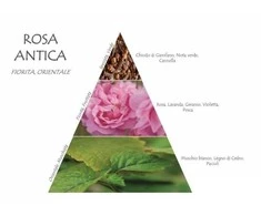 Naturalmila Italia Naturalmilla Rosa Antica namų kvapas su lazdelėmis 2500 ml