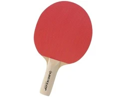 Dunlop Stalo teniso raketė BT10 pradedantiesiems