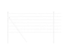 Euro tvora 0,8 x 10 m PVC padengta geležis