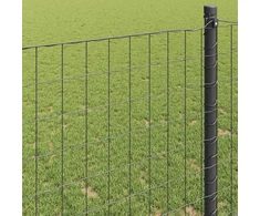 Euro tvora Pilka 0.6 x 25 m PVC padengta geležis