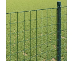Euro tvora Žalia 0,8 x 25 m PVC padengta geležis