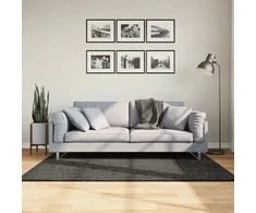 Kilimas ISTAN, antracito, 120x170cm, blizgus, aukšti šereliai