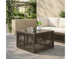 Sodo stalas Pilka ir juoda 55 x 55 x 37 cm PE Rattan ir Stiklas