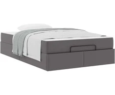 Lova Lovos rėmas su čiužiniu Kita 2 pcs Pilka PVC