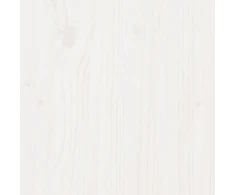 Lovos rėmas su galvūgaliu be čiužinio, baltas, 200x200cm