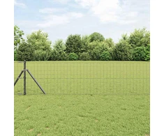Euro tvoros žemės tvirtinimas 25 x 0,6 m PVC dengtas plienas