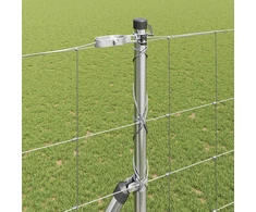 Pagrindo Suvirintas Vielos Tvora 25 x 1,6 m Sidabrinė Tinklelis