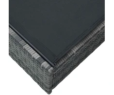 Saulės gultas Pilka 200.5 x 70 x 75 cm poliratanas