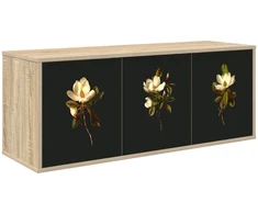 TV staliukas Sieninis televizoriaus stovas BREMEN 102 x 33 x 40 cm