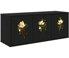 TV staliukas Sieninis televizoriaus stovas BREMEN 102 x 33 x 40 cm