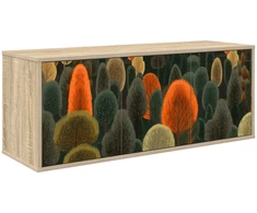 TV staliukas Sieninis televizoriaus stovas ZAANDAM 102 x 33 x 40 cm