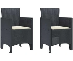 Sodo Kėdė 2 pcs Antracitas 53 x 49 x 85 cm Polipropilenas