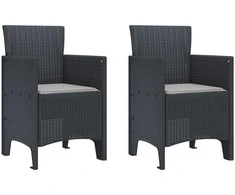 Sodo Kėdė 2 pcs Antracitas 53 x 49 x 85 cm Polipropilenas