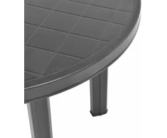 Sodo Kėdė 2 pcs Antracitas 56 x 65 x 89 cm Plienas