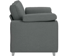 Dvivietė sofa Tamsiai pilka 160 cm audinys
