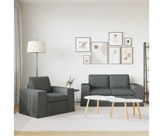 Sofa 2 pcs Tamsiai pilka Metalas