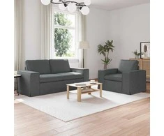 Sofa 2 pcs Tamsiai pilka Metalas