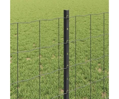 Euro tvoros su stulpu 10 x 0,8 m PVC dengtas plienas Pilka