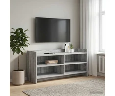 TV staliukas Televizoriaus spintelė 100 x 33 x 47 cm Pilka Sonoma