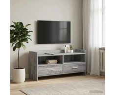 TV staliukas Televizoriaus spintelė 100 x 33 x 47 cm Pilka Sonoma