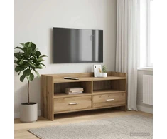 TV staliukas Televizoriaus spintelė 100 x 33 x 47 cm Artisano ąžuolo