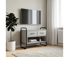 TV staliukas Televizoriaus spintelė 60 x 30 x 50 cm Pilka Sonoma