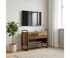 TV staliukas Televizoriaus spintelė 60 x 30 x 50 cm Sendintos medienos