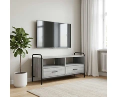 TV staliukas Televizoriaus spintelė 67,5 x 33 x 50 cm Pilka Sonoma