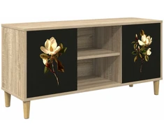 TV staliukas Televizoriaus spintelė BREMEN 102 x 33 x 50 cm Sonoma ąžuolo